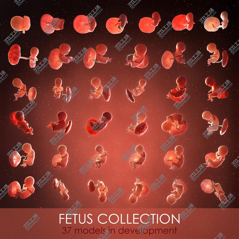 images/goods_img/20210113/3D Fetus Collection - 37 models in development/1.jpg